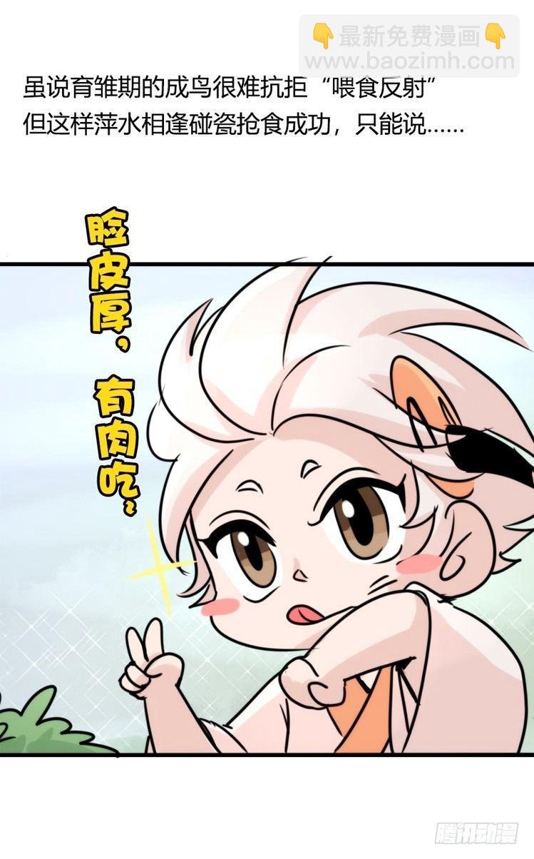 使命篇27-重振绯羽⑨