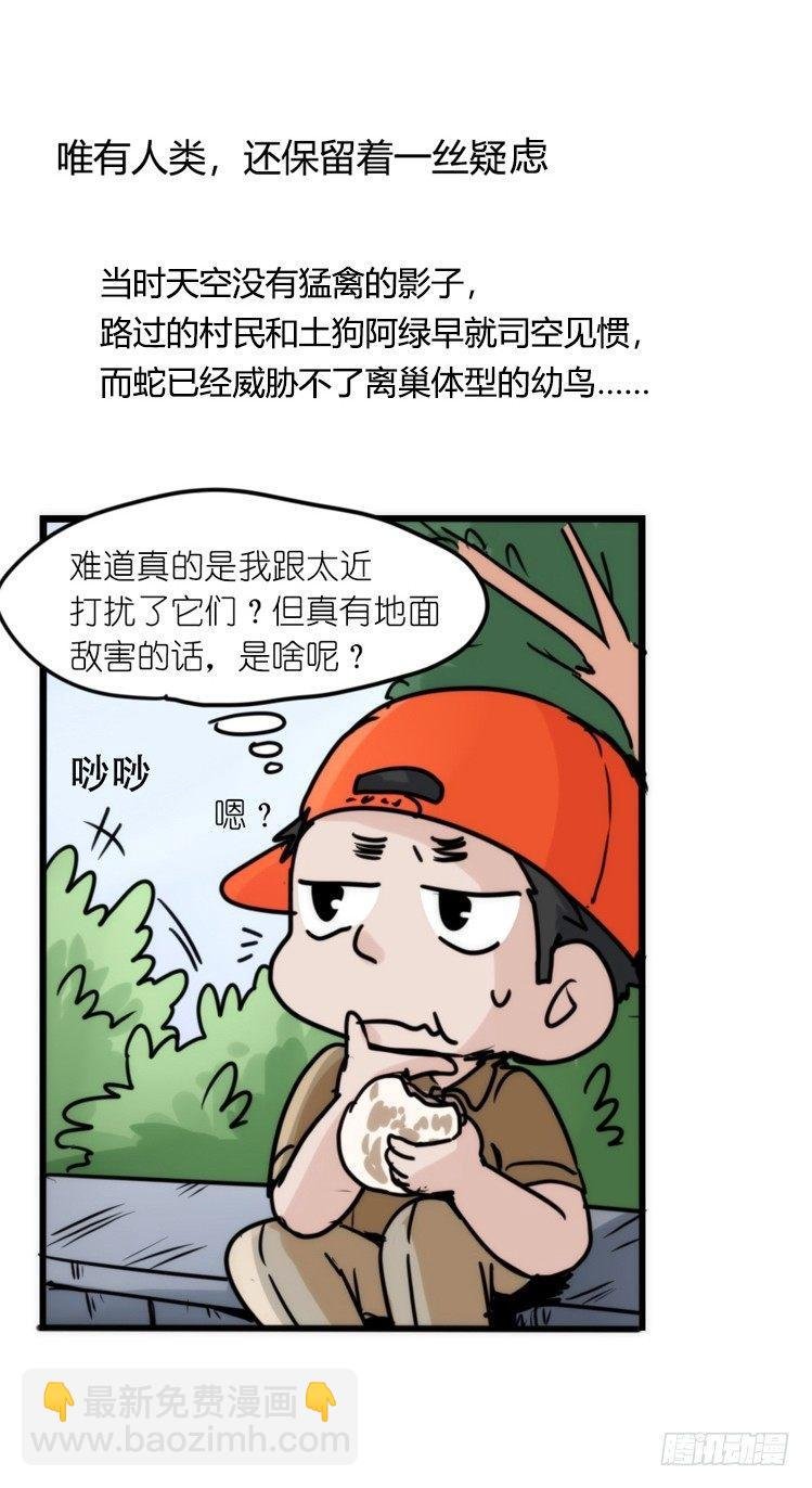 使命篇27-重振绯羽⑨