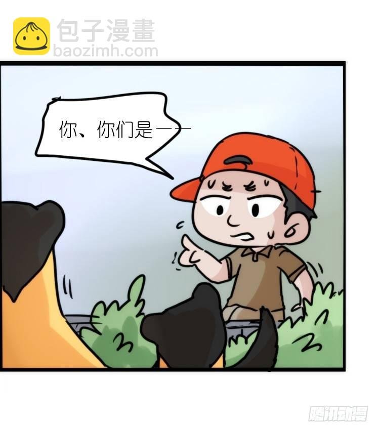 使命篇27-重振绯羽⑨