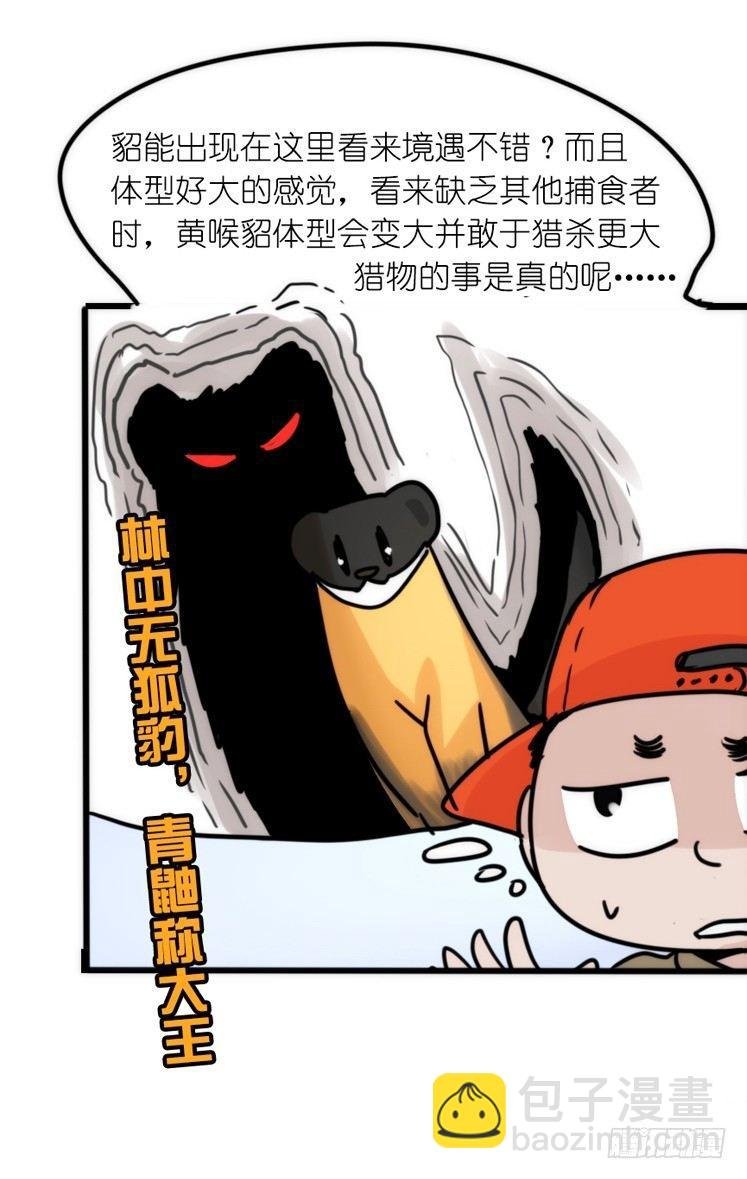 使命篇27-重振绯羽⑨