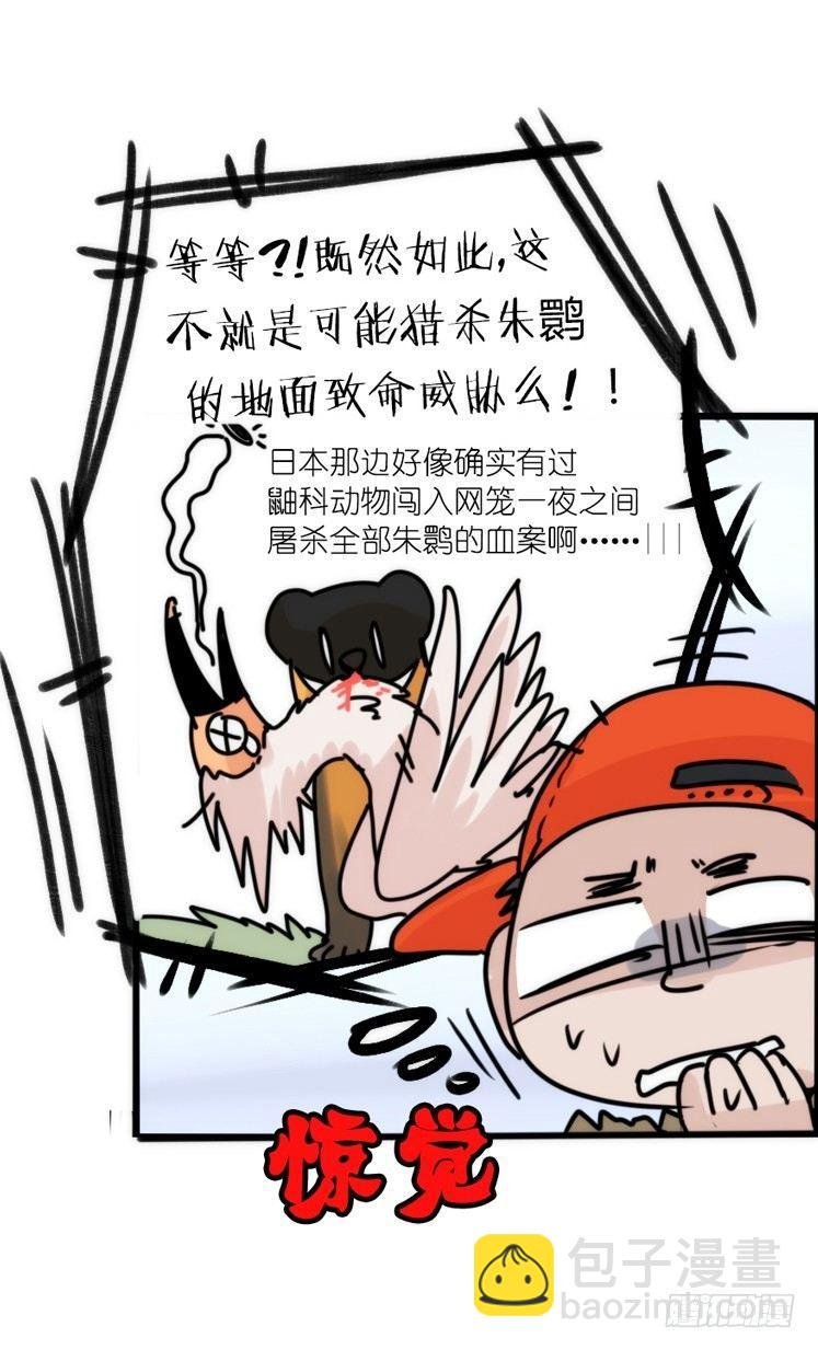 使命篇27-重振绯羽⑨