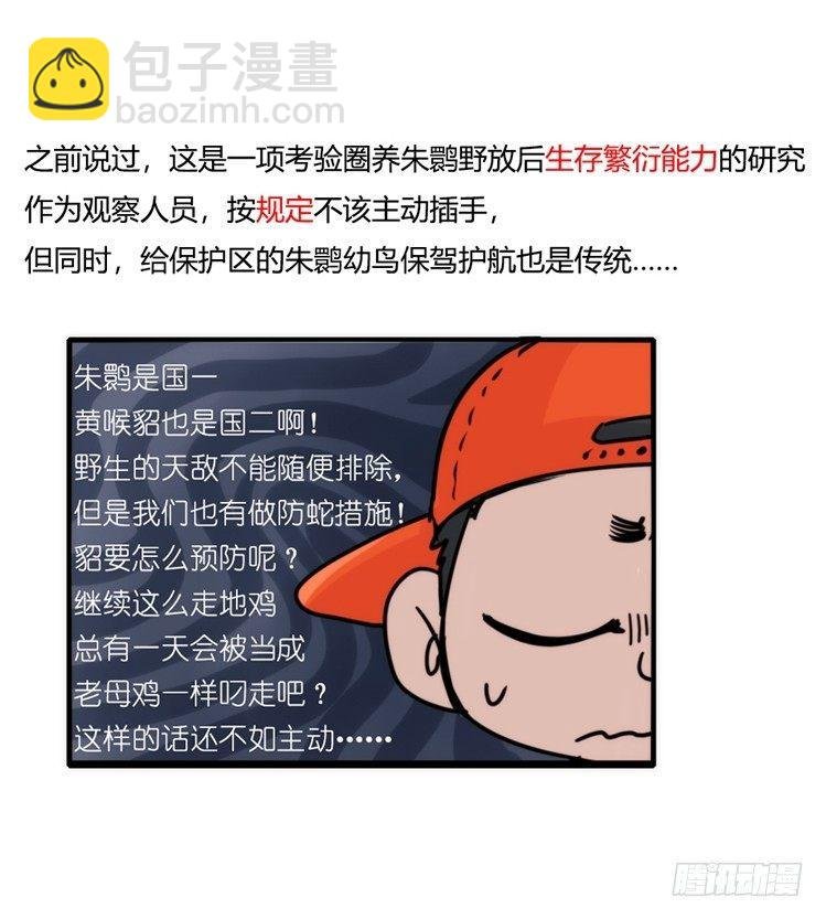 使命篇28：重振绯羽-10