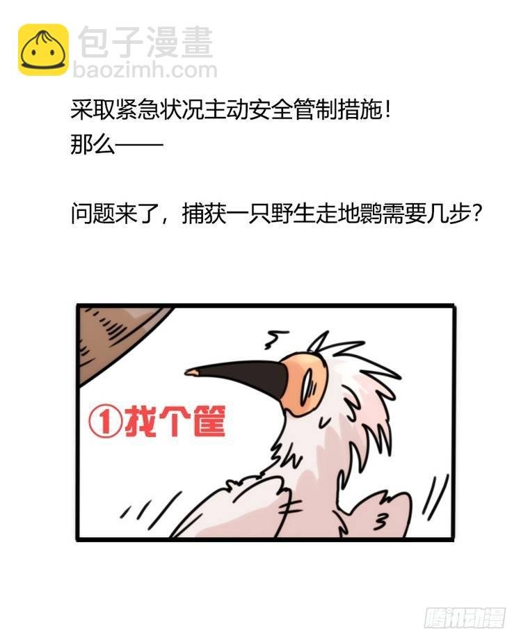 使命篇28：重振绯羽-10