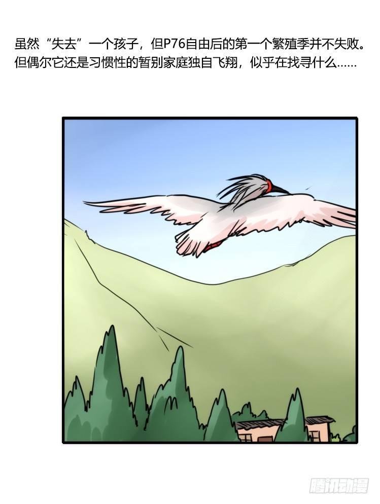 使命篇28：重振绯羽-10