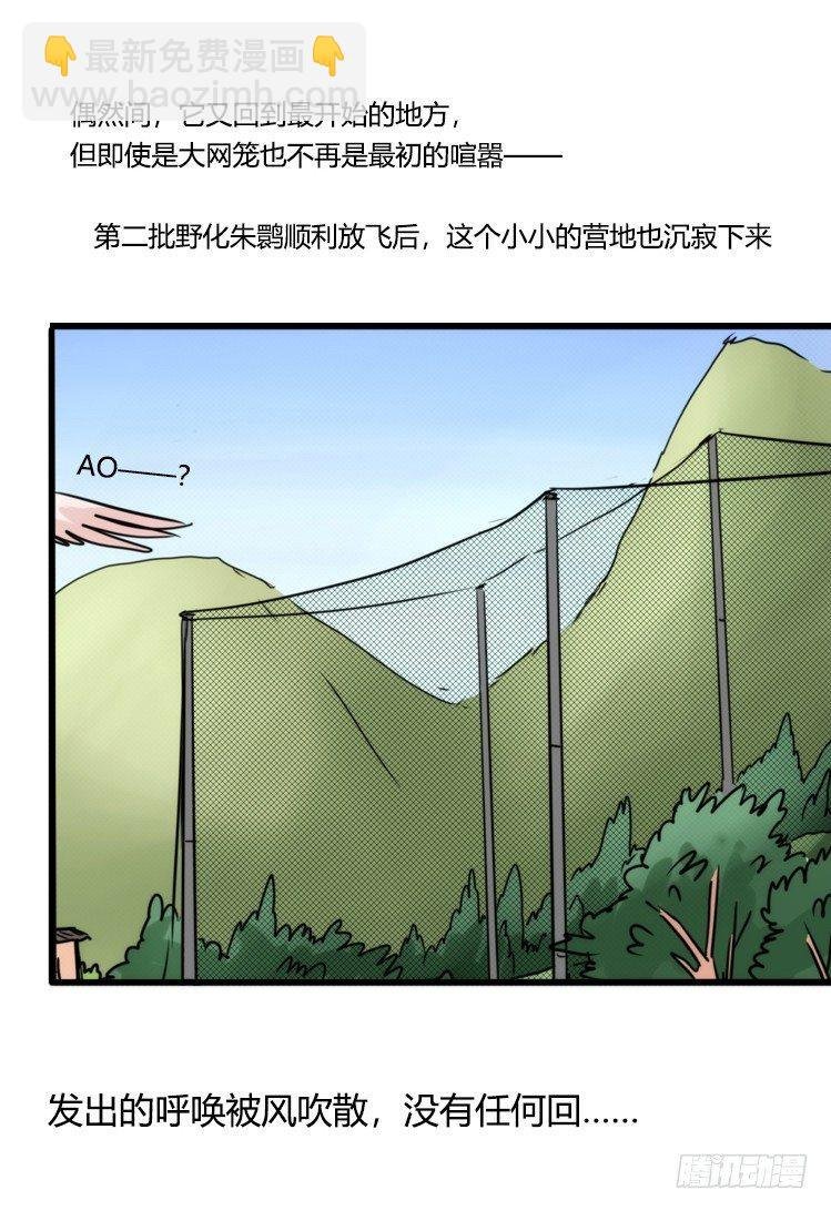 使命篇28：重振绯羽-10
