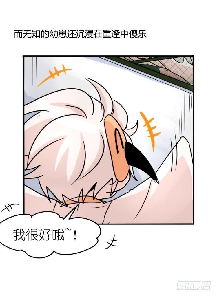 使命篇28：重振绯羽-10
