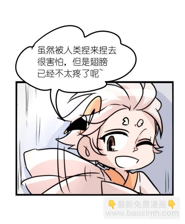 使命篇28：重振绯羽-10
