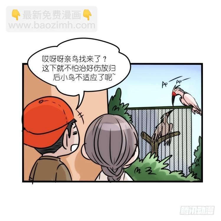 使命篇28：重振绯羽-10