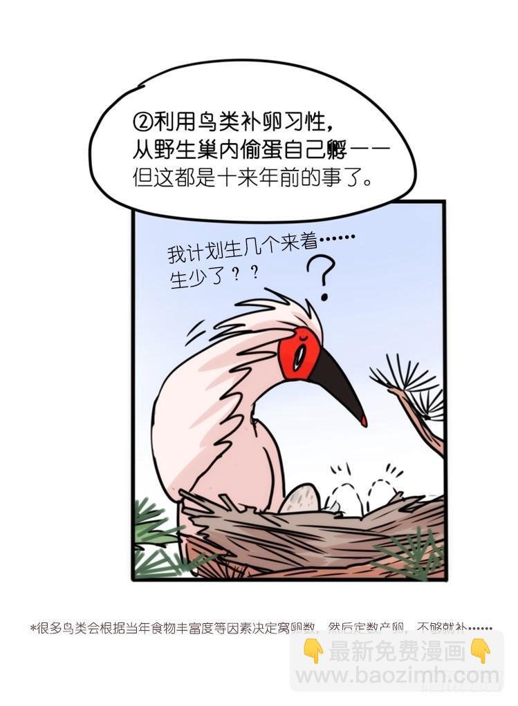 使命篇28：重振绯羽-10