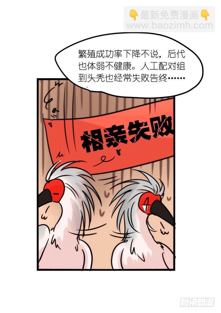 使命篇28：重振绯羽-10