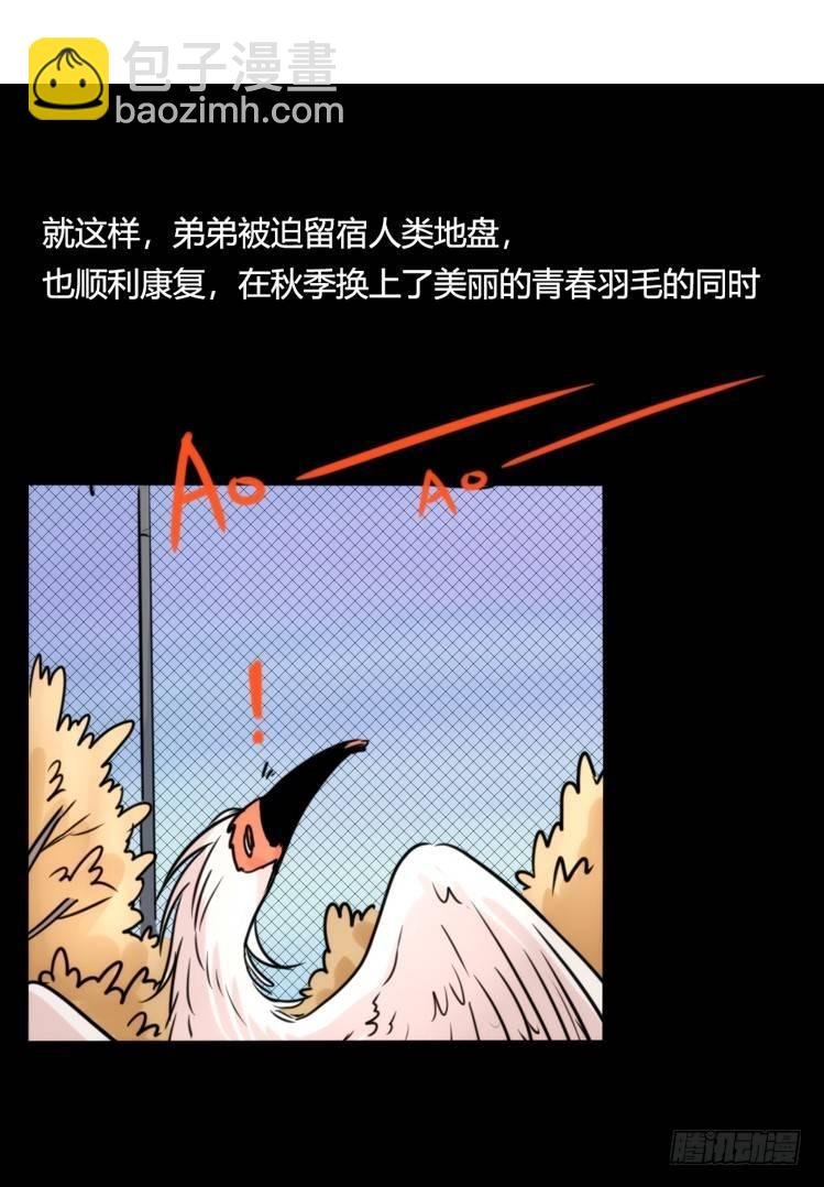 使命篇28：重振绯羽-10