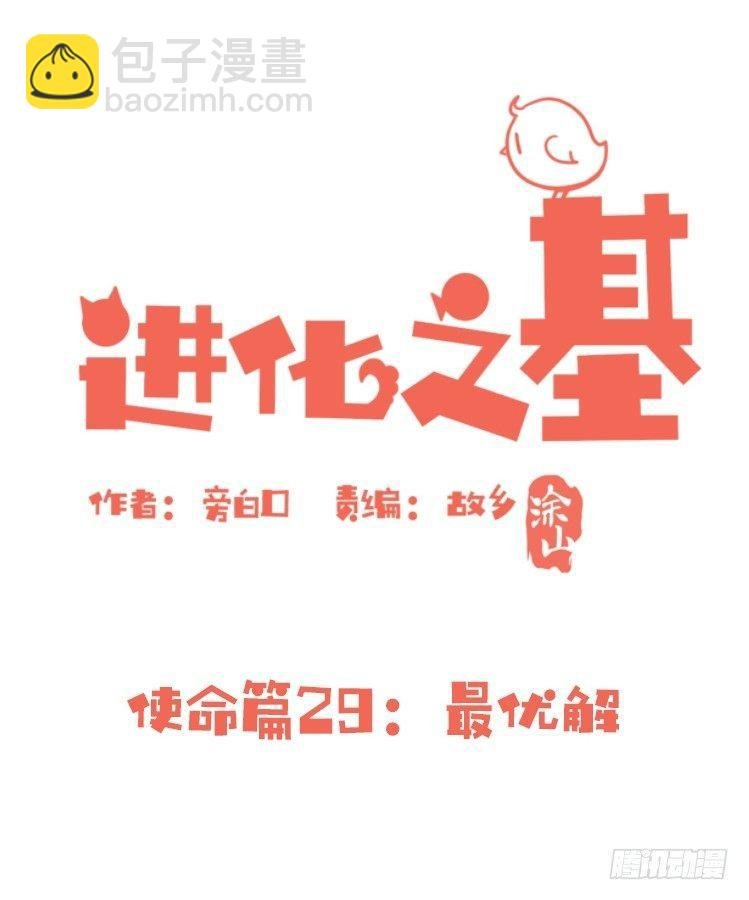 使命篇29：最优解