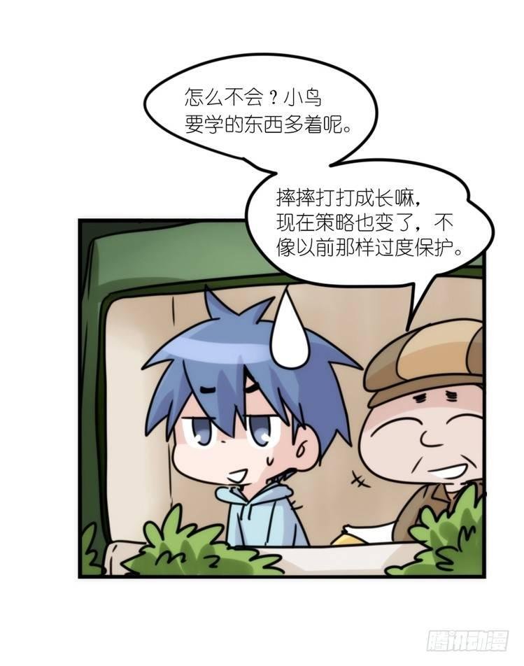 使命篇29：最优解