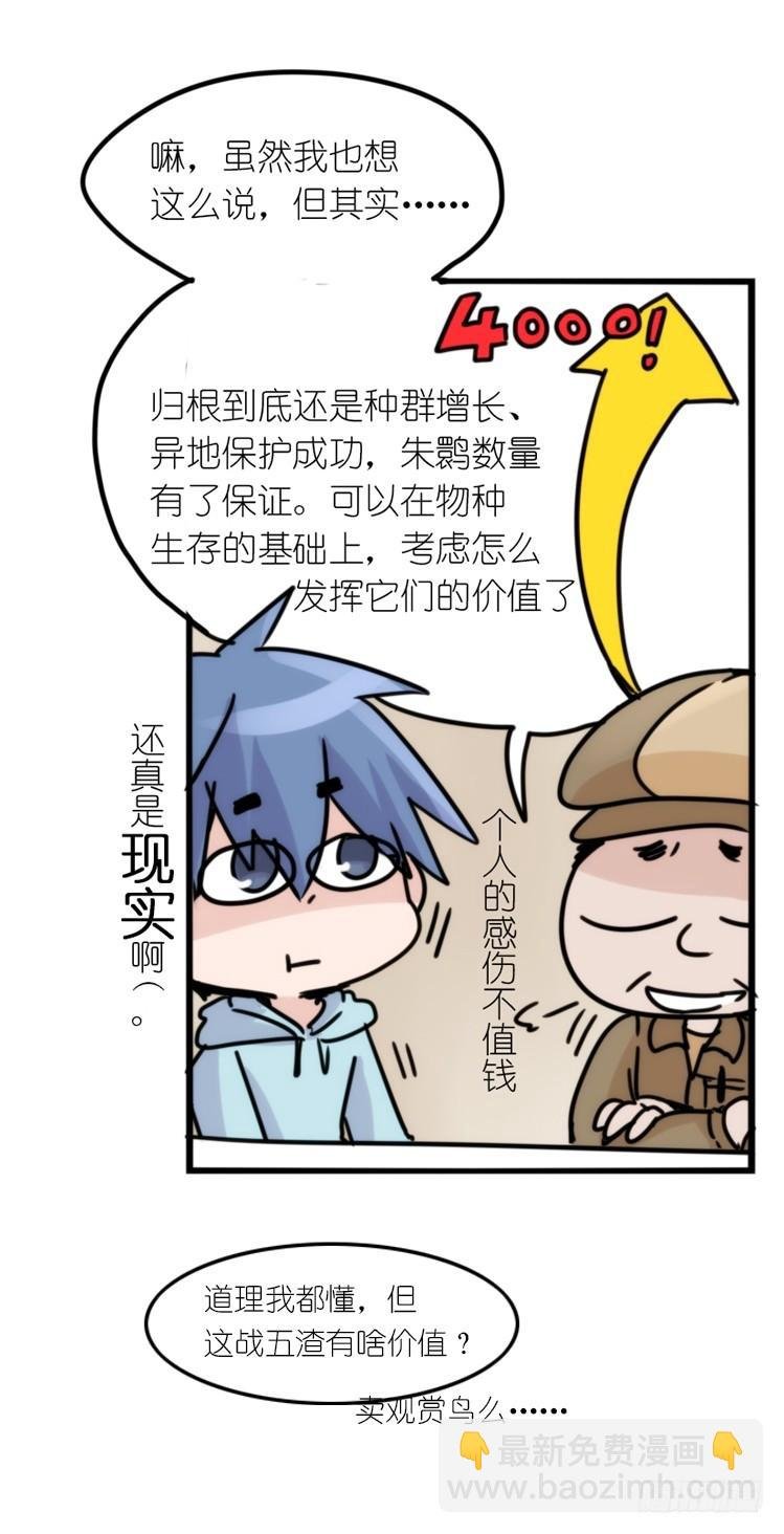 使命篇29：最优解