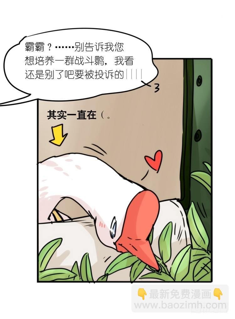 使命篇29：最优解