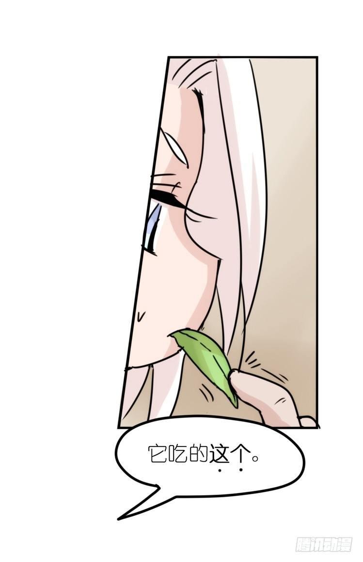 使命篇29：最优解