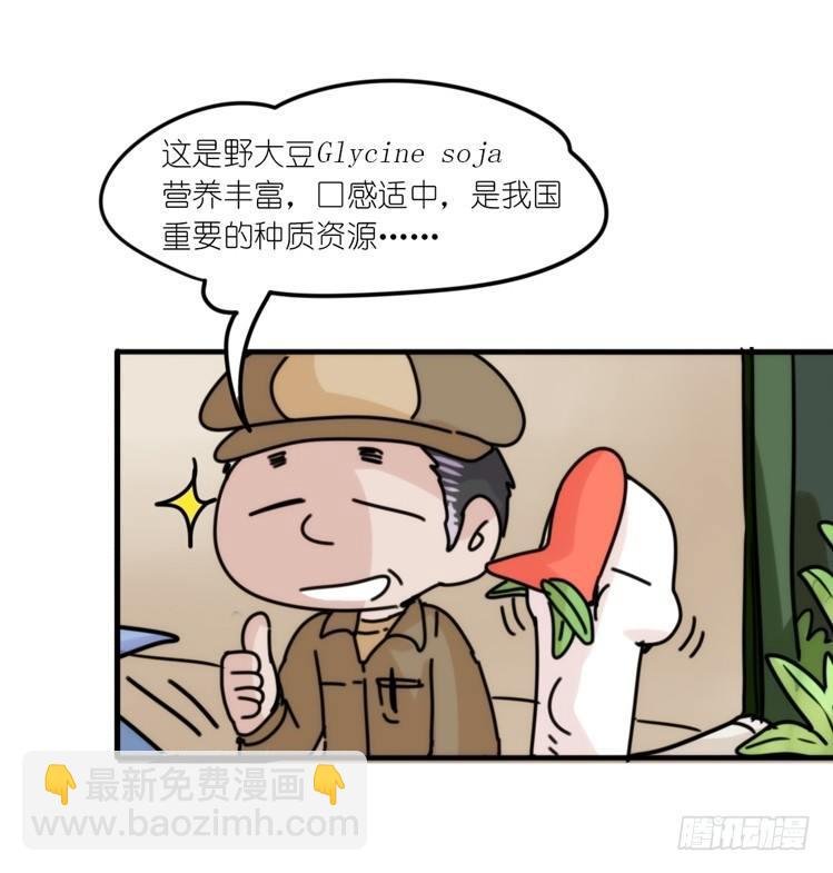 使命篇29：最优解