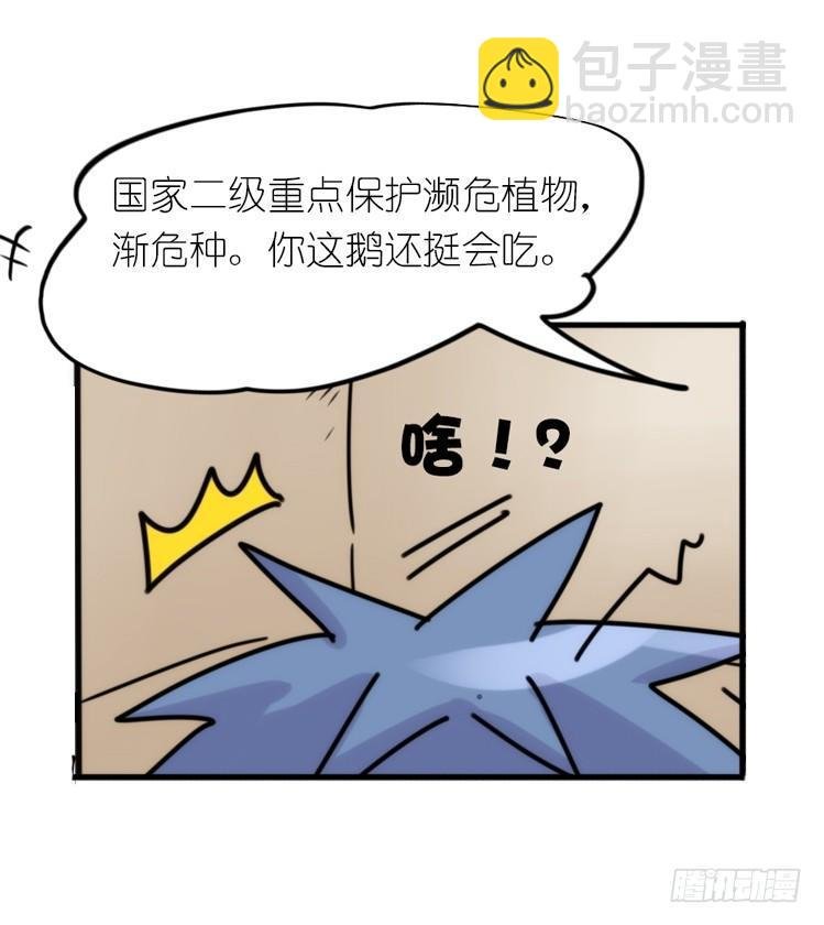 使命篇29：最优解