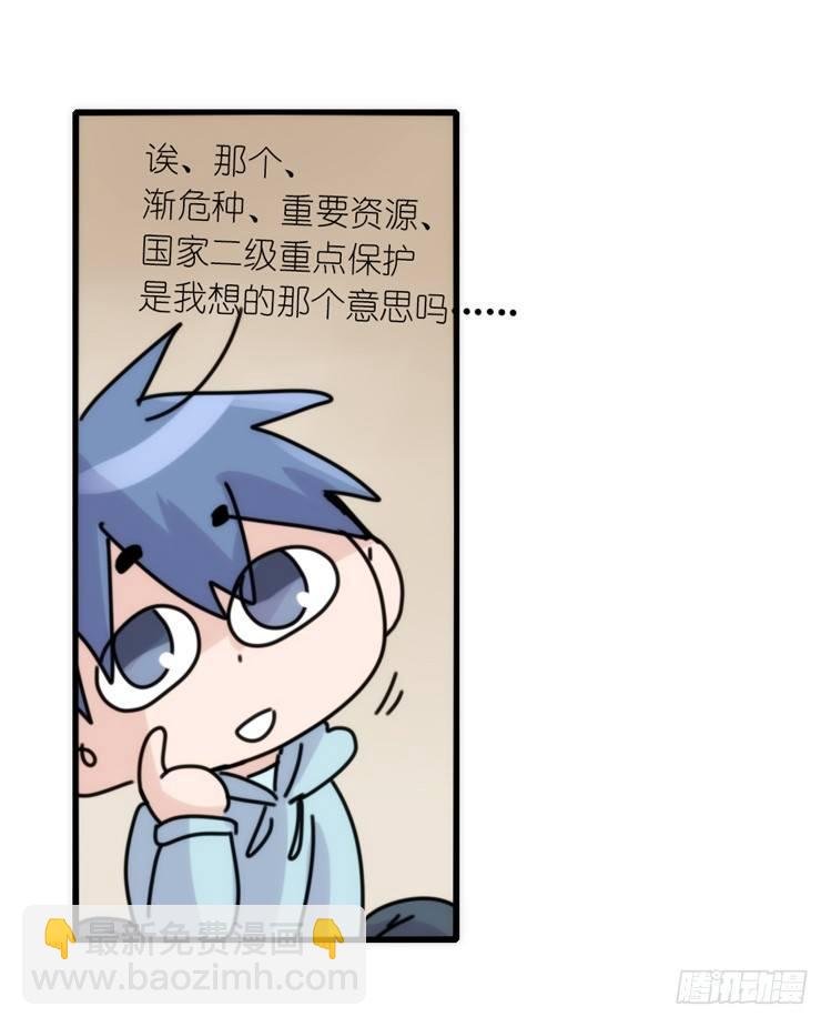 使命篇29：最优解
