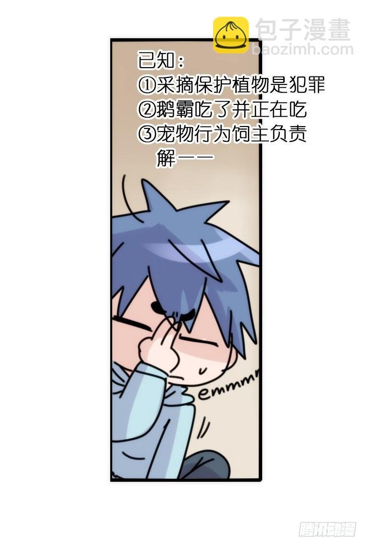使命篇29：最优解