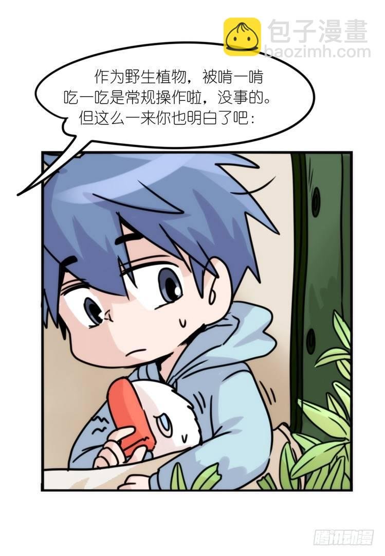 使命篇29：最优解