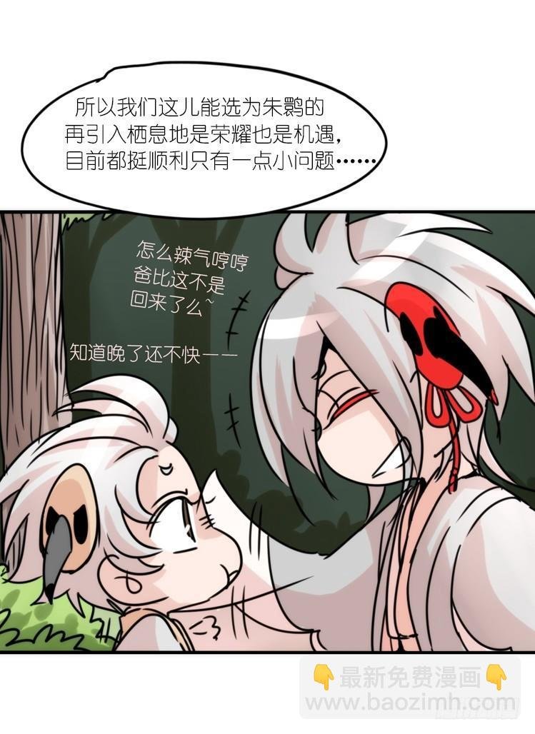 使命篇29：最优解