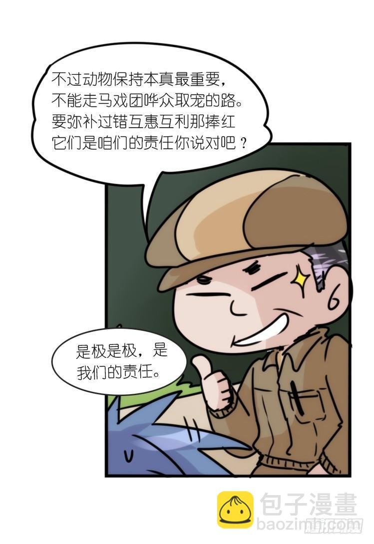 使命篇29：最优解