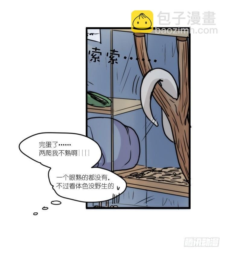 使命篇31：王牌调查员！