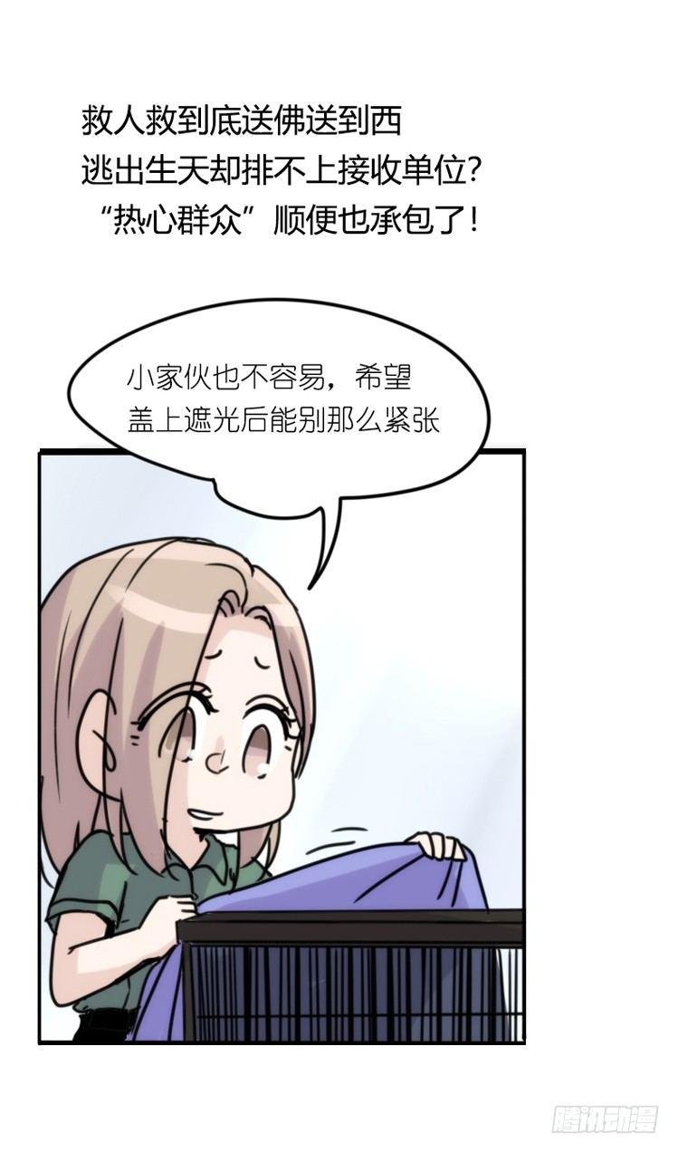 使命篇32：何去何从
