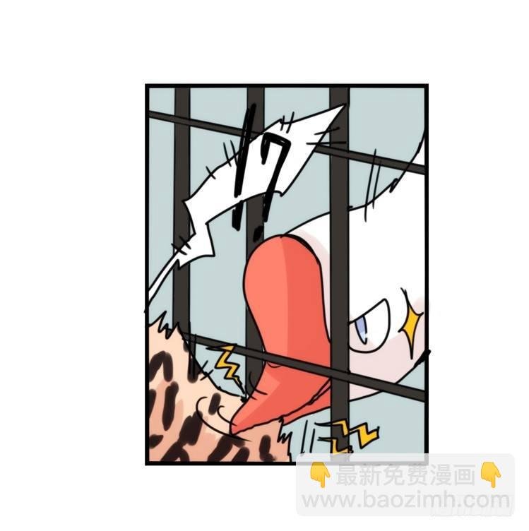使命篇32：何去何从