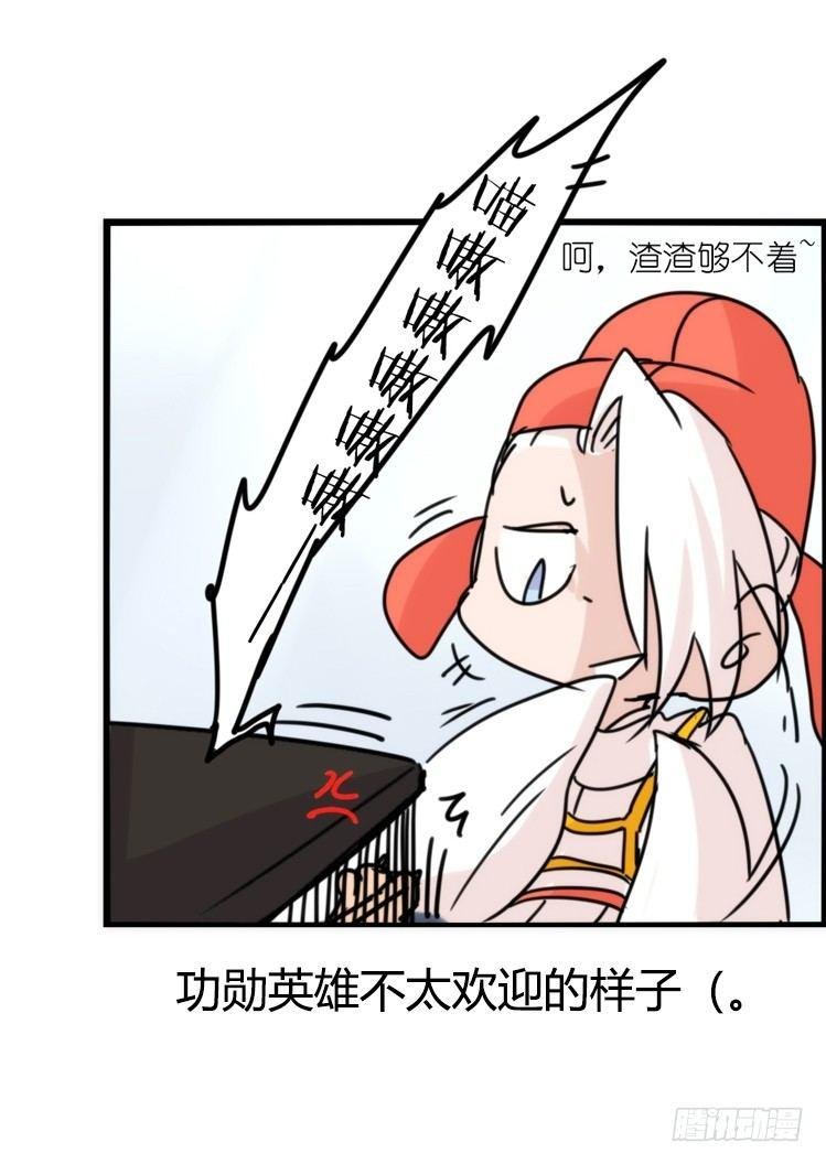 使命篇32：何去何从