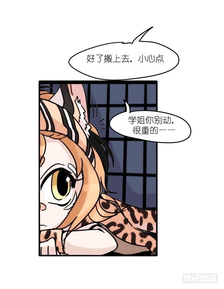 使命篇32：何去何从