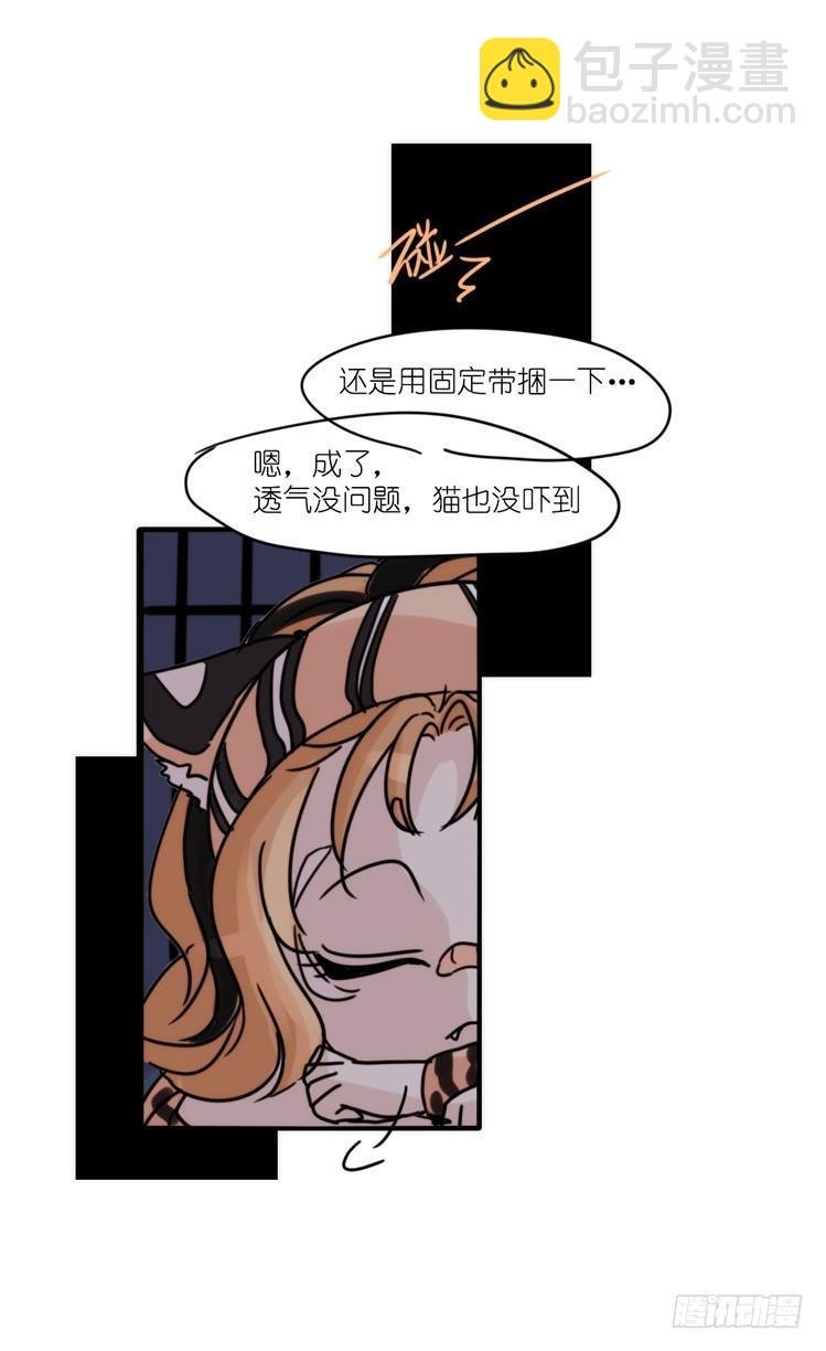 使命篇32：何去何从
