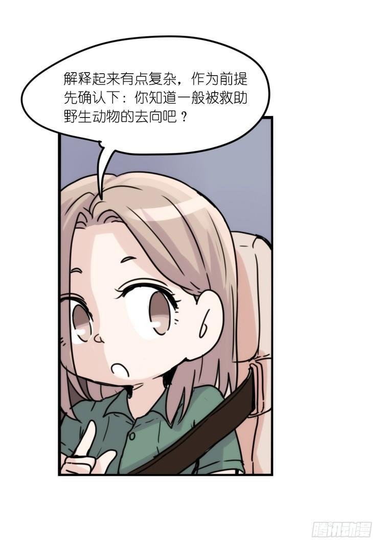 使命篇32：何去何从