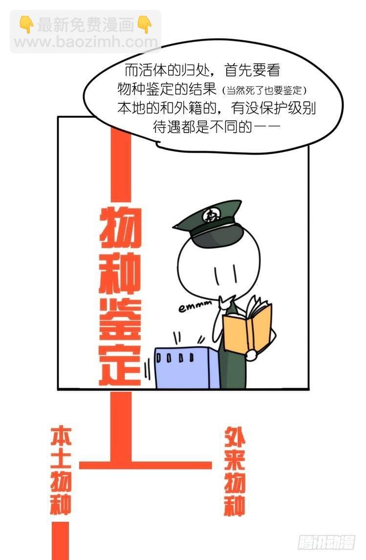 使命篇32：何去何从
