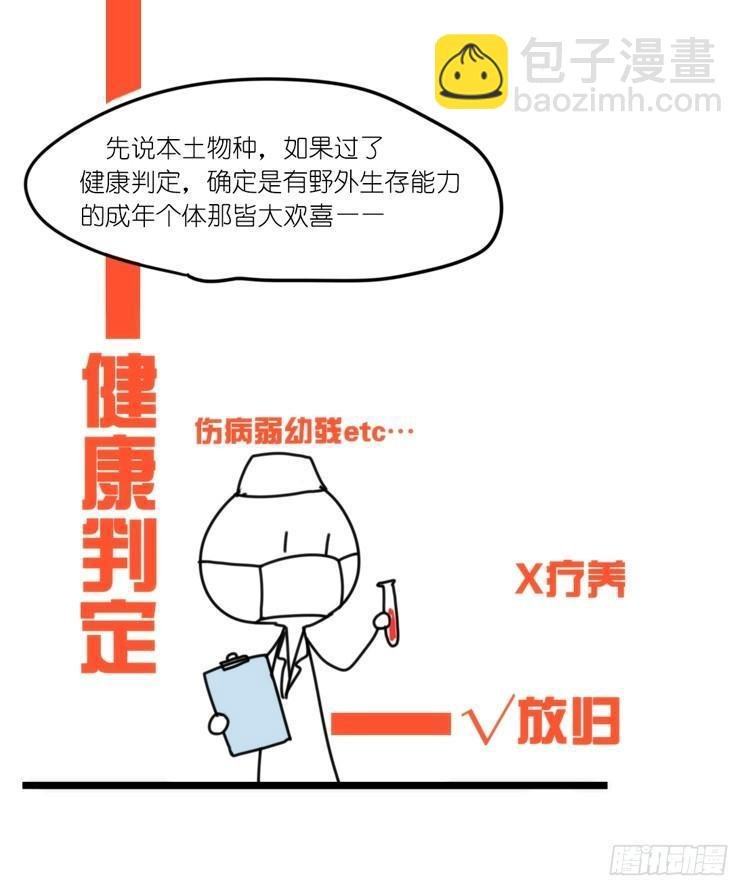 使命篇32：何去何从