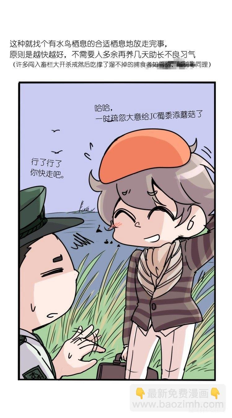 使命篇32：何去何从