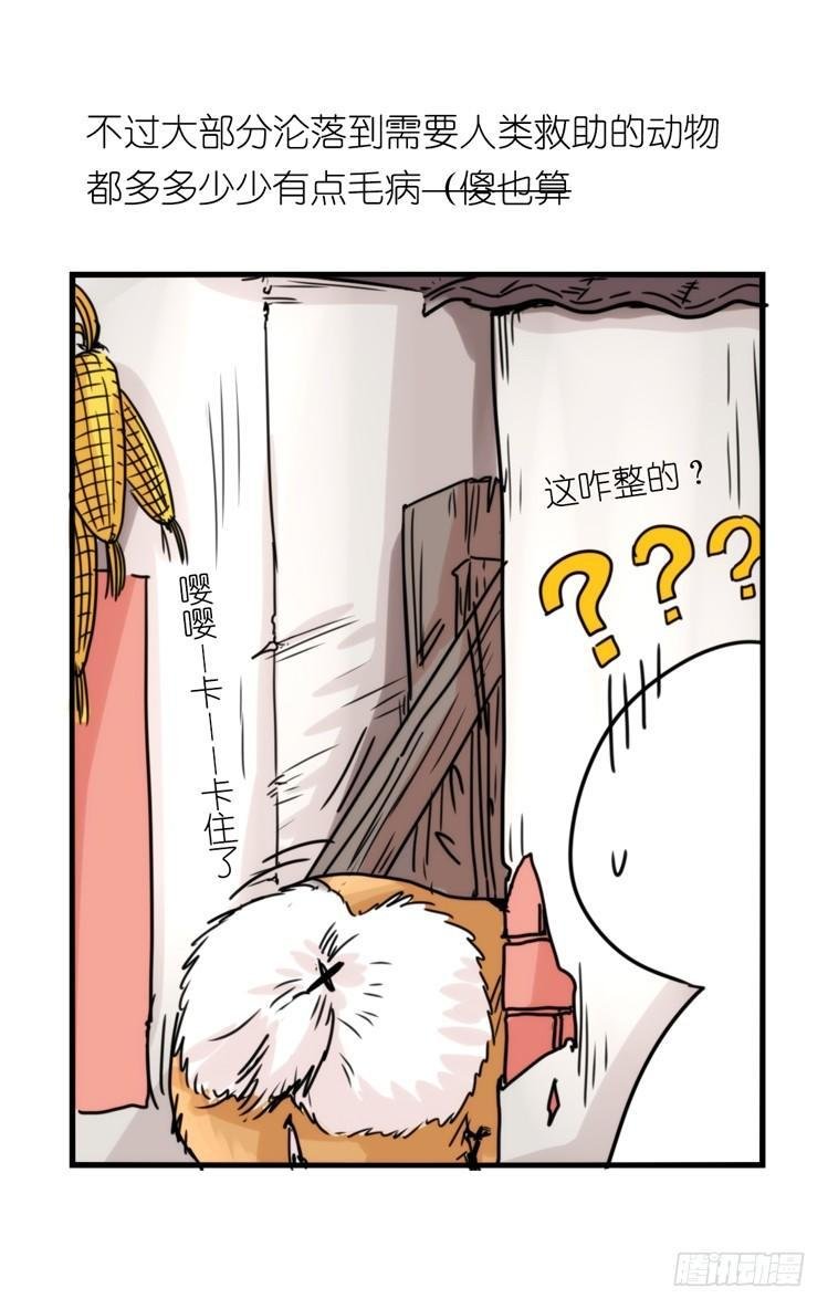 使命篇32：何去何从
