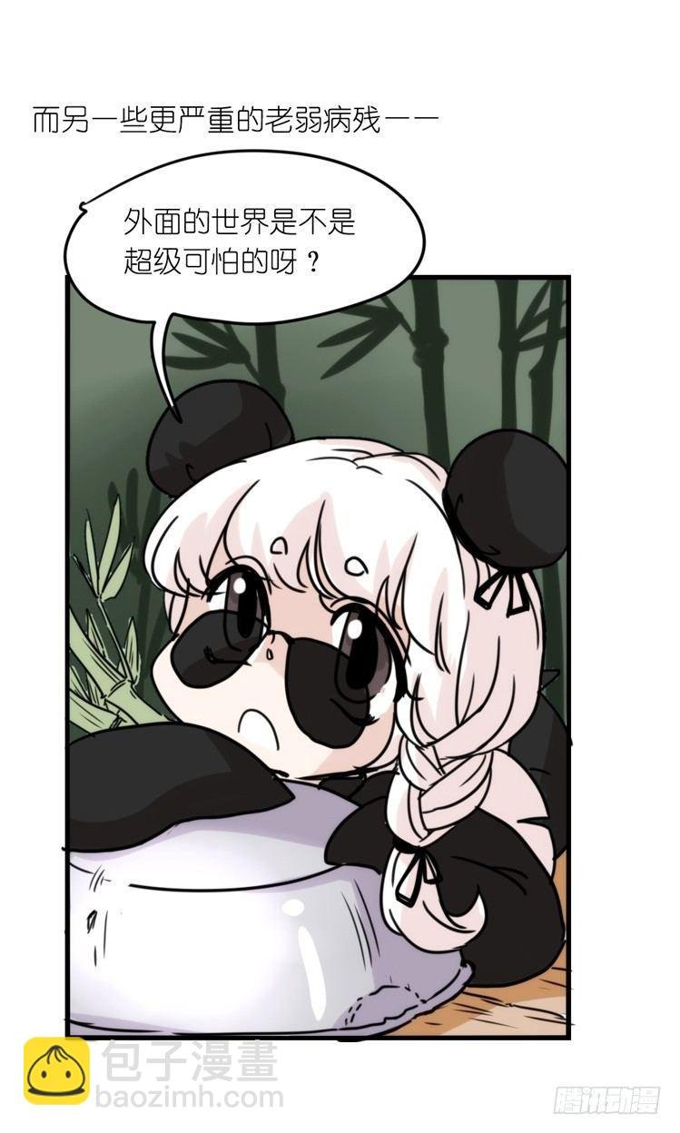 使命篇32：何去何从