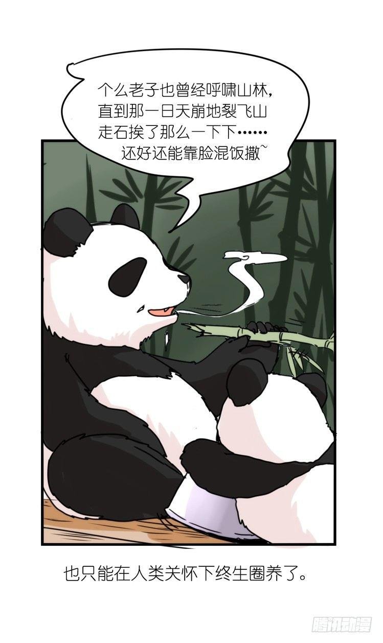 使命篇32：何去何从