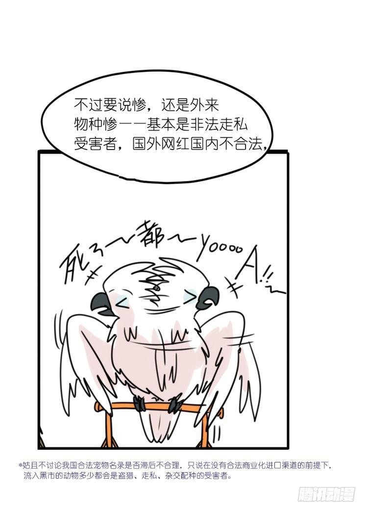 使命篇32：何去何从