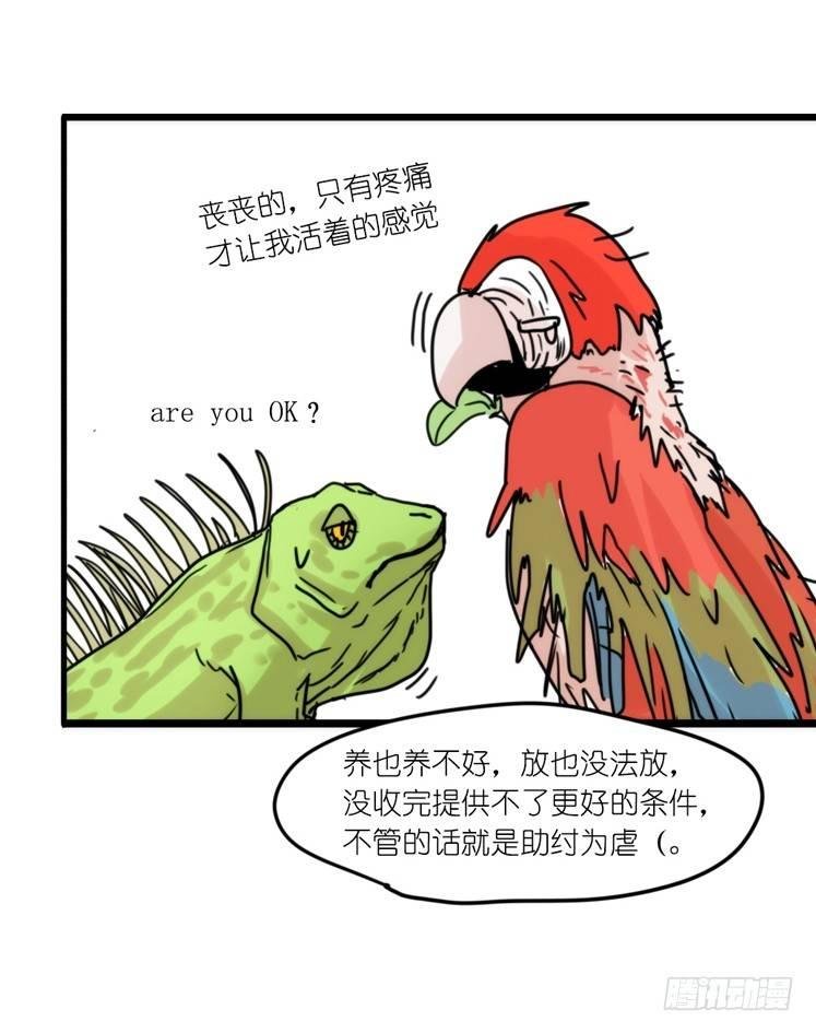 使命篇32：何去何从