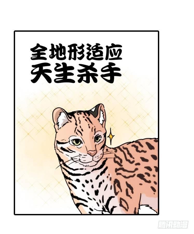 使命篇32：何去何从