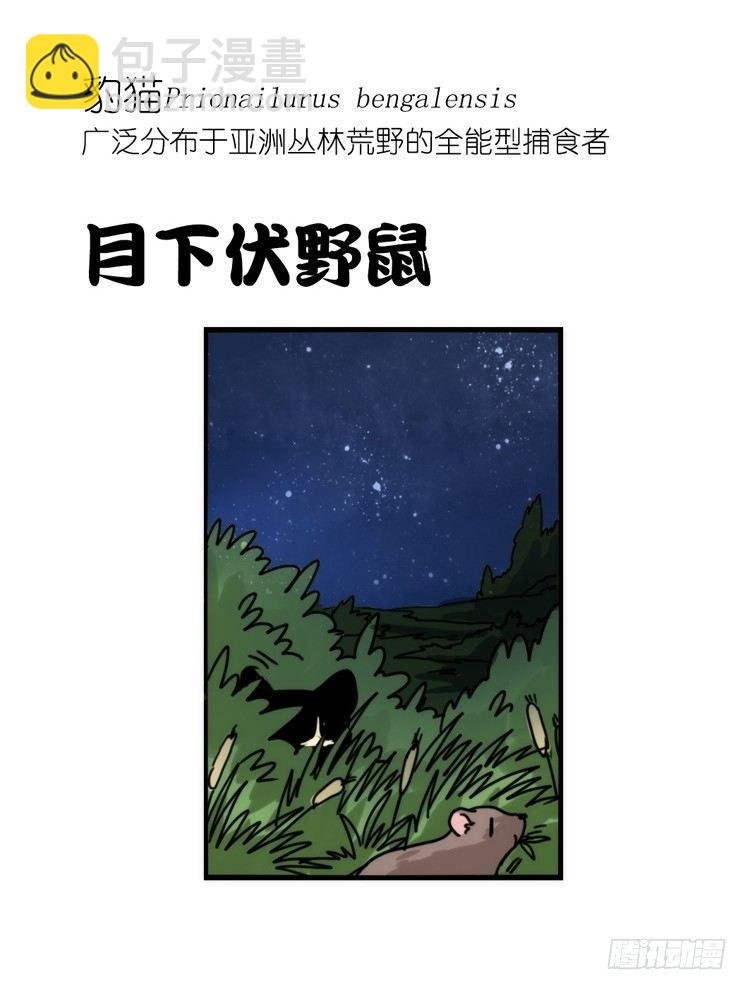 使命篇32：何去何从