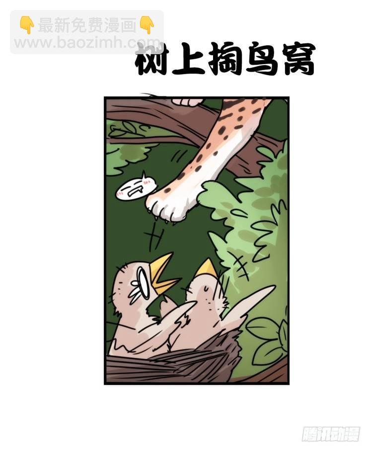 使命篇32：何去何从