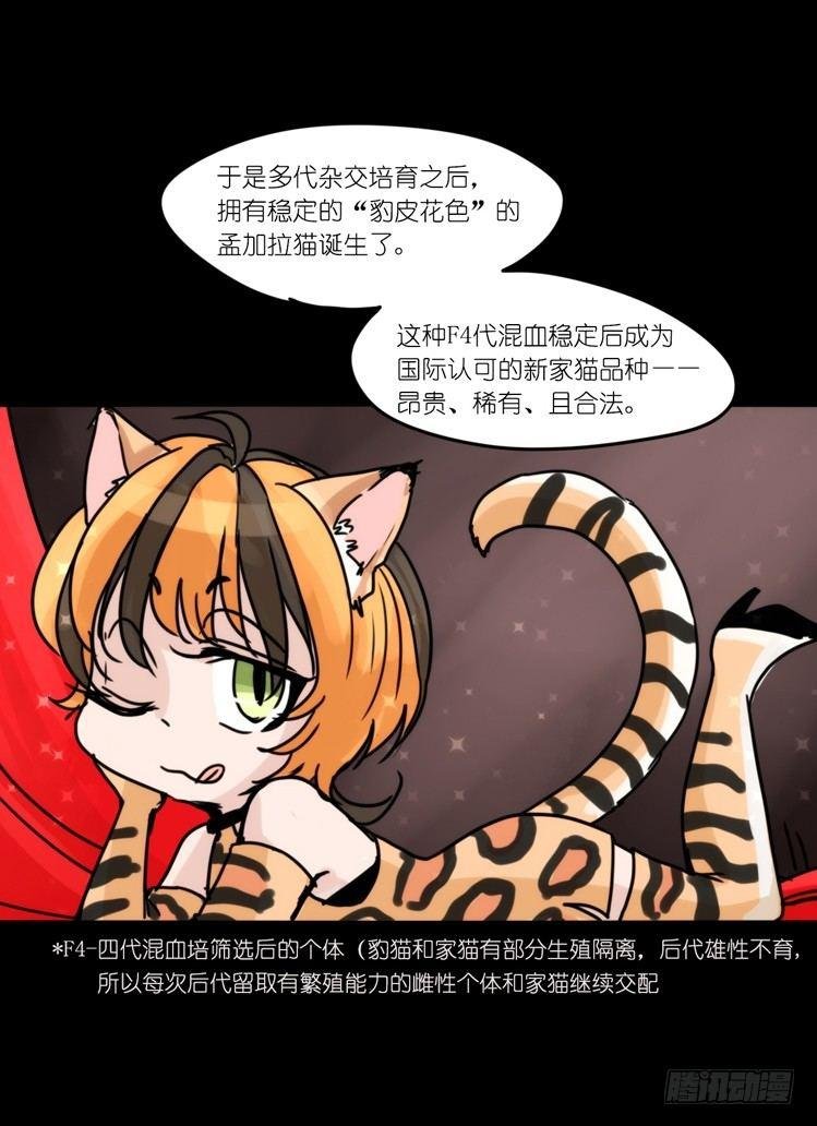 使命篇33：屋漏偏逢连夜雨