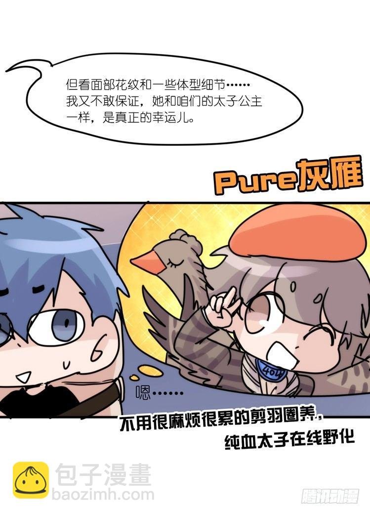 使命篇33：屋漏偏逢连夜雨