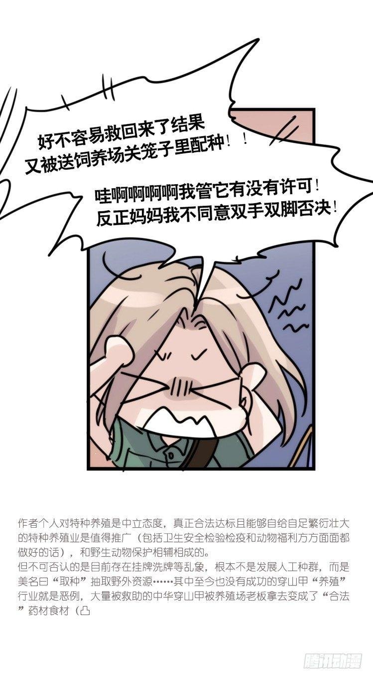 使命篇33：屋漏偏逢连夜雨