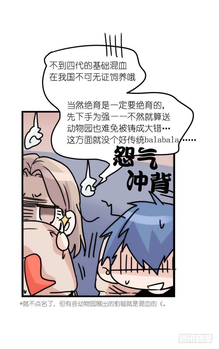 使命篇33：屋漏偏逢连夜雨