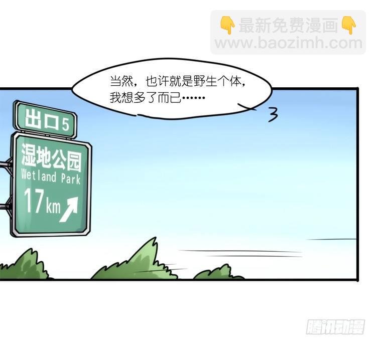 使命篇33：屋漏偏逢连夜雨
